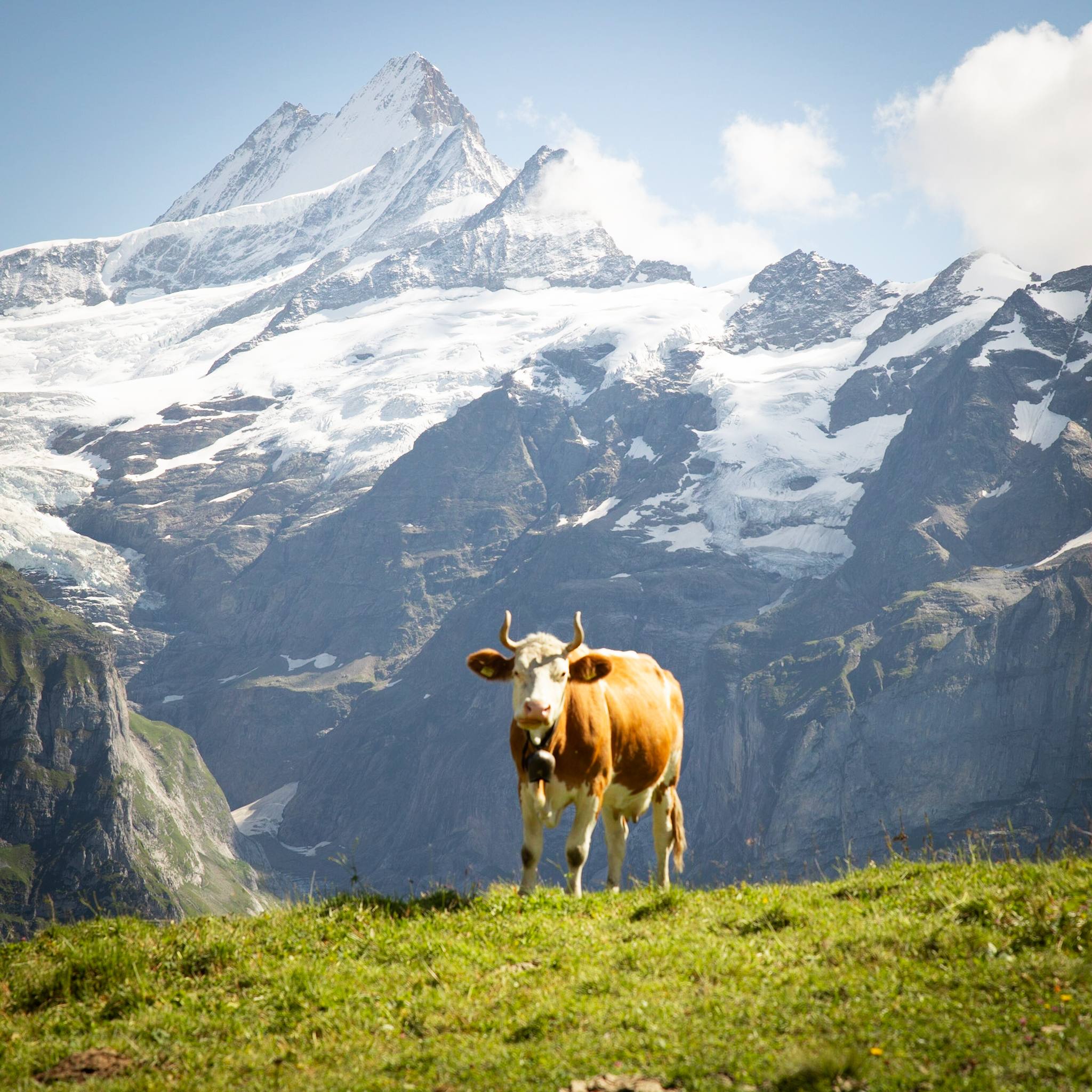Original photography from our Interlaken and Grindelwald visits